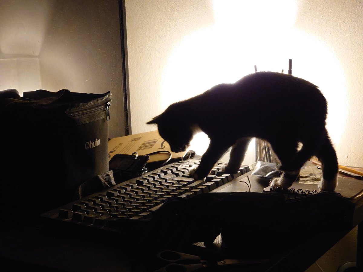 alex 🇮🇪🇵🇸 tweet media