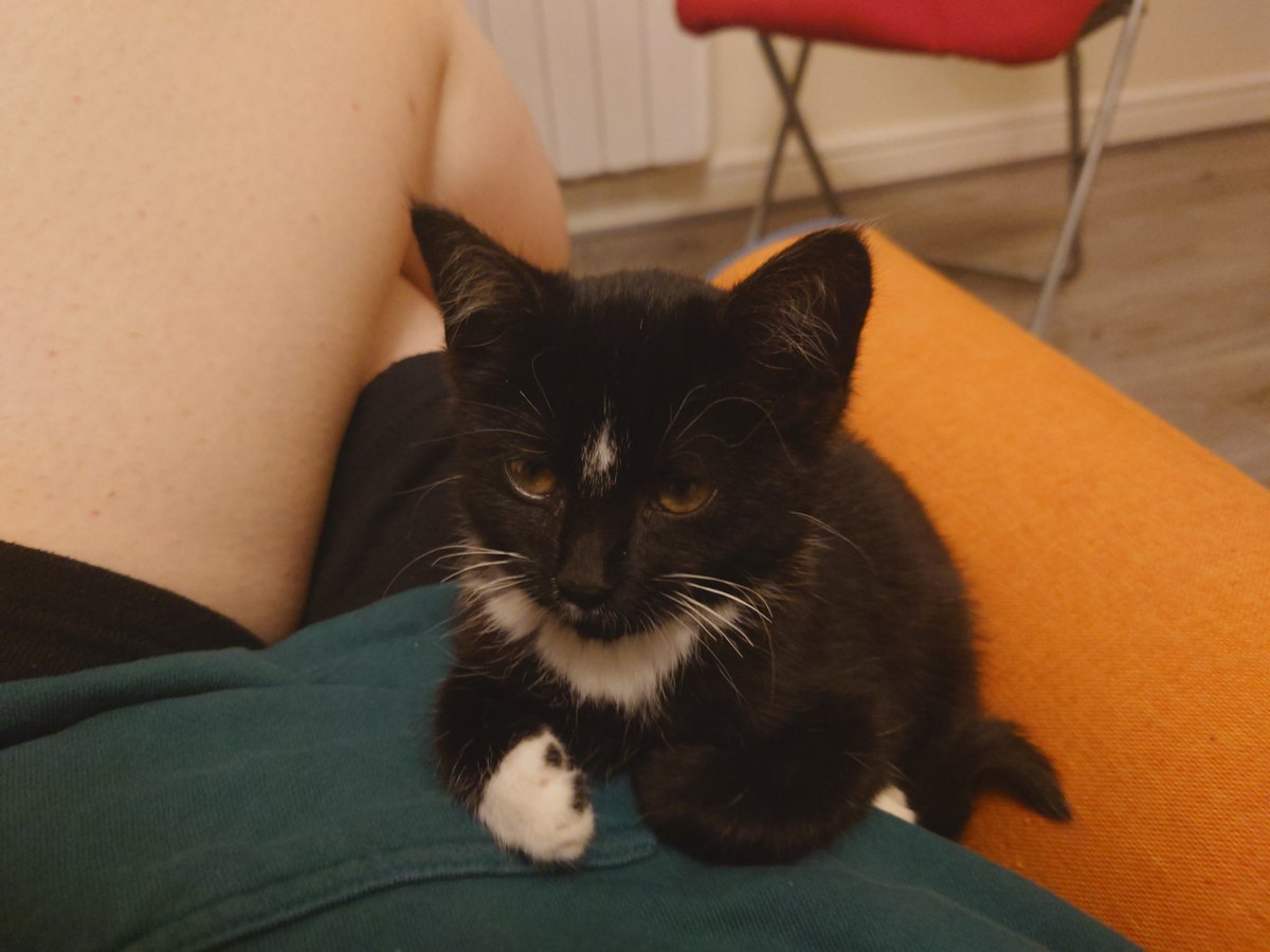 alex 🇮🇪🇵🇸 tweet media