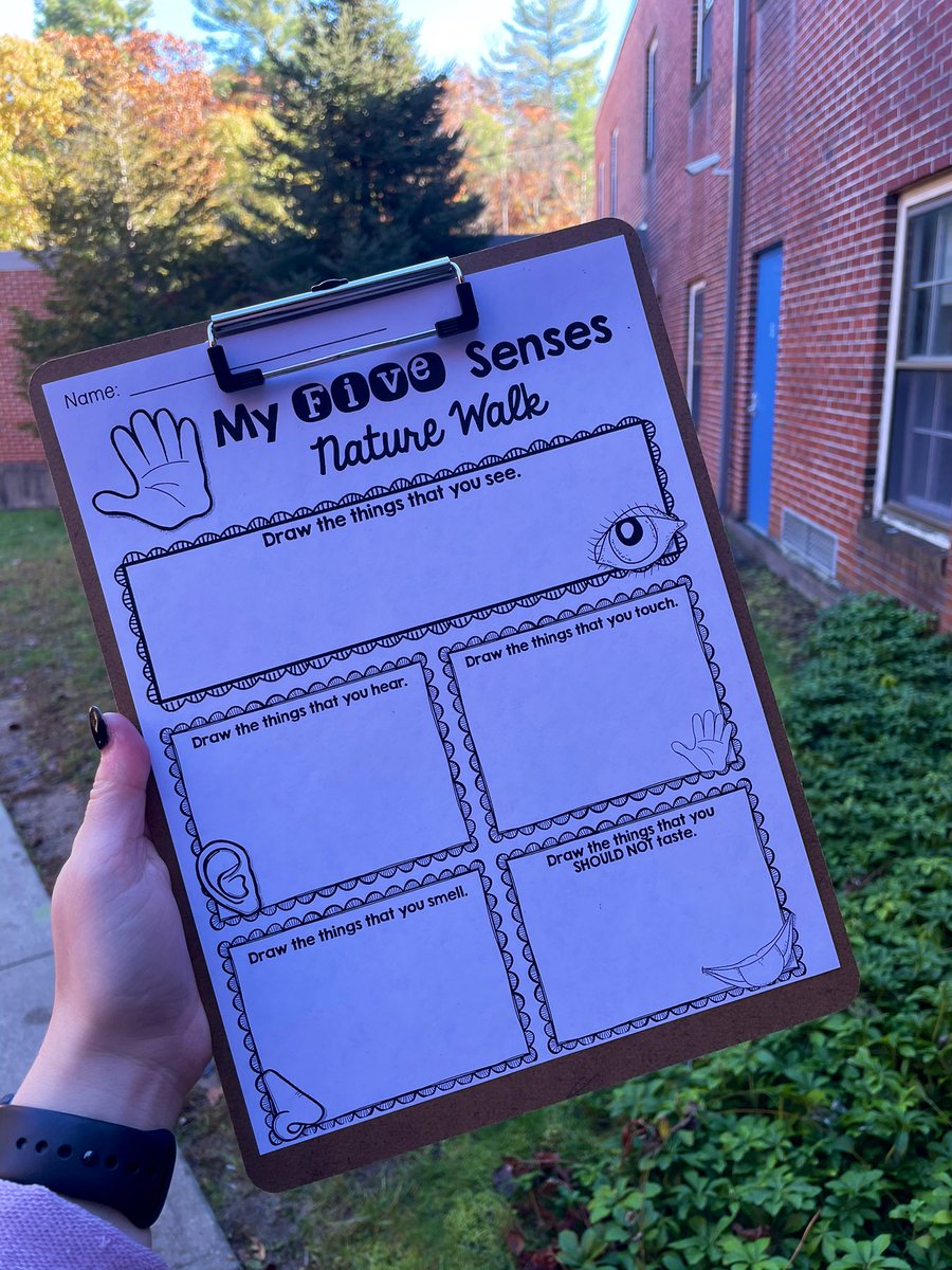 5 senses nature walk/exploring on this beautiful fall day🌤🌳🍁