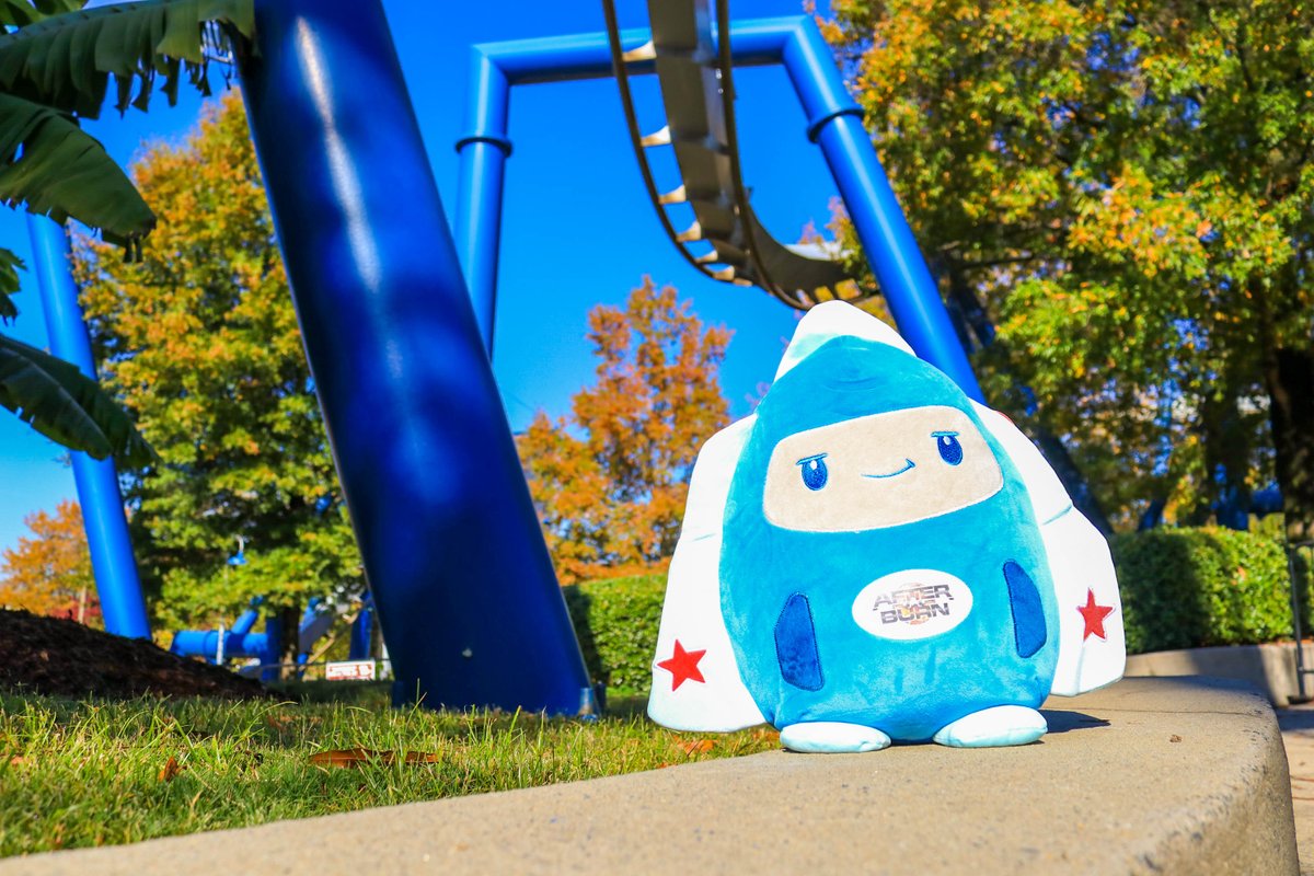 Carowinds tweet media