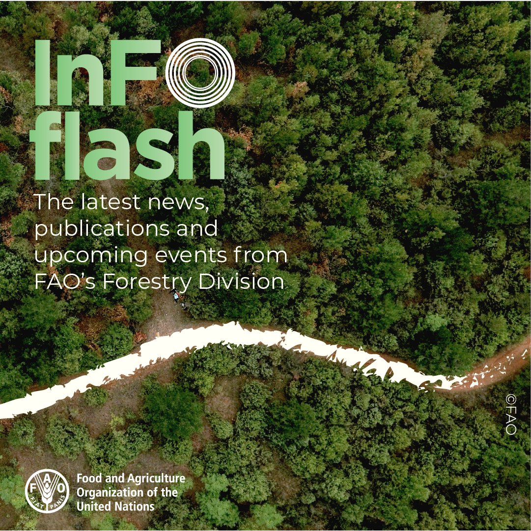 Catch up on all the latest publications and upcoming events from <a href="/FAO/">Food and Agriculture Organization</a>’s Forestry Division and subscribe to our free InFOflash newsletter for monthly updates.

👉 bit.ly/3DAA3A0