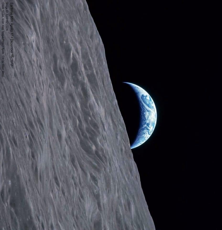 Mfanasibili Nkosi tweet media