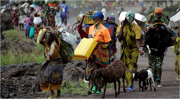 SOCECO_RDC's tweet photo. La guerre en RDC a entraîné une série des conséquences sur les écosystèmes en rompant l’équilibre écologique. Ces conséquences sont aussi manifestes sur les forêts et les parcs.
Durant cette période, le phénomène de braconnage s’est développé.
#RDC #stopM23 #ecology #soceco https://t.co/iZXea7qB4c