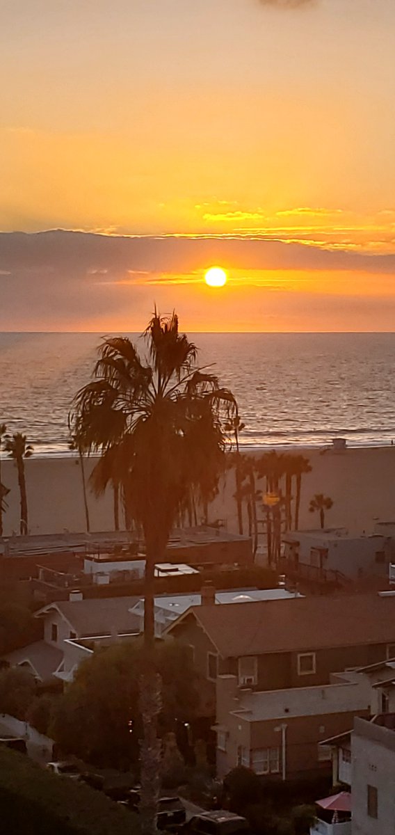 Patrick McBrearty tweet media