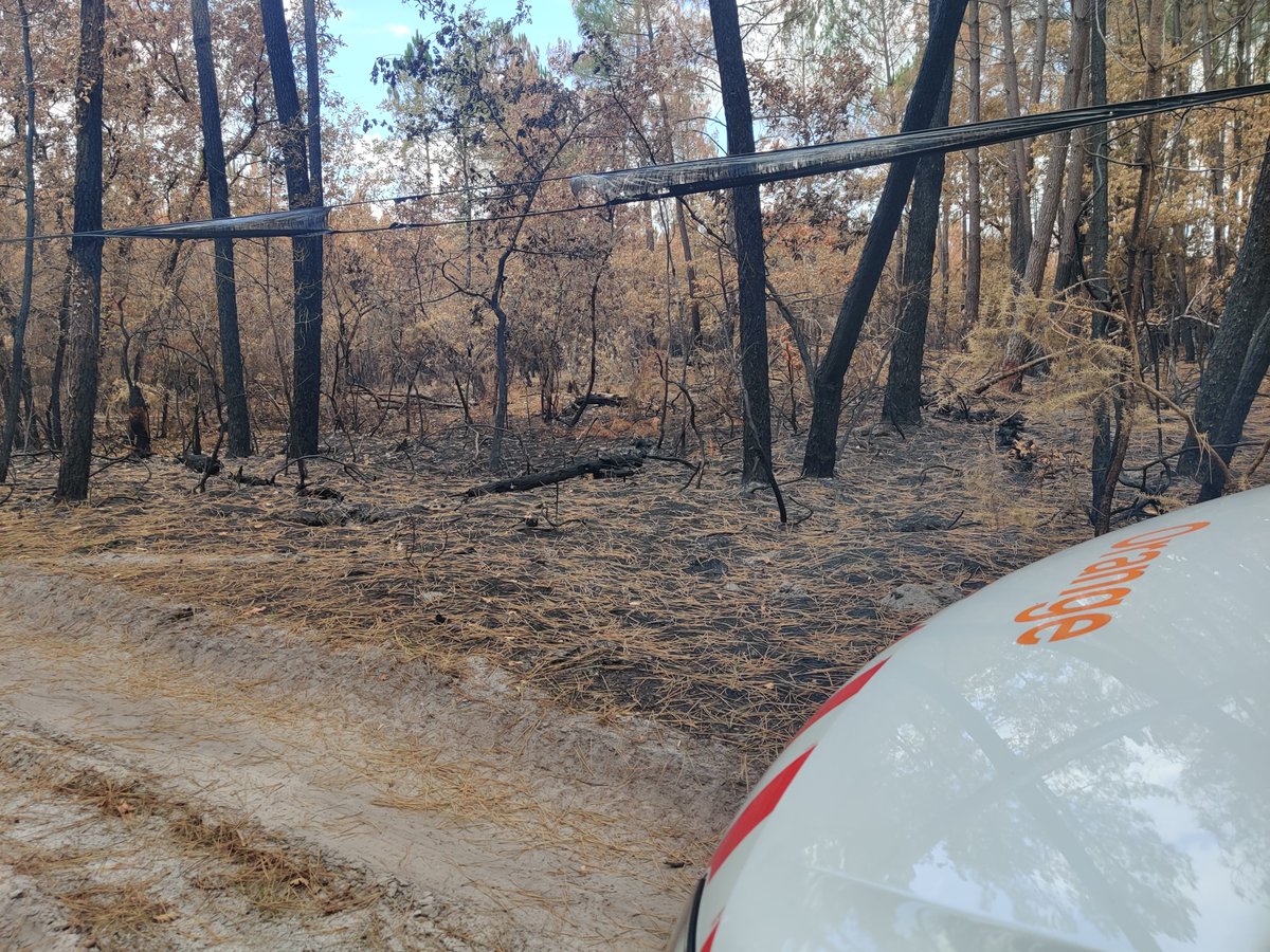 En aérien comme en souterrain, en Fibre comme en Cuivre, les techniciens Orange interviennent pour rétablir et produire avec professionnalisme et efficacité au service de tous nos clients. #PourNosClients #UISO #Fierté <a href="/olivierdefosse/">Olivier Defosse</a> <a href="/OrangeNvAquit/">Orange Nouvelle Aquitaine</a>