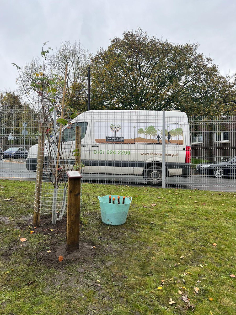 Yesterday we helped plant a very special tree at @mahdloyouthzone

This lovely Rowan tree is one of the @QGCanopy #treeoftrees planted in honour of Her Majesty The Queen Elizabeth 🌳 

#PlatinumJubilee #queensgreencanopy #trees