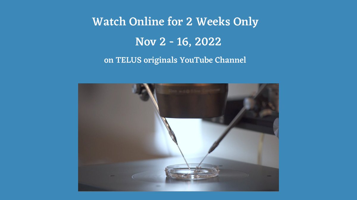 breakstigmafilm's tweet photo. Looking for something to do today?

Check out our film and see the lived experiences of those using an egg donor.

Watch Online Nov 2 - 16 on TELUS originals YouTube Channel. Link in comments. 

Watch on TELUS Opitk TV, Channel 8 - ANYTIME 

#TELUSoriginals #eggdonation #IVF https://t.co/u17TNpNSnv