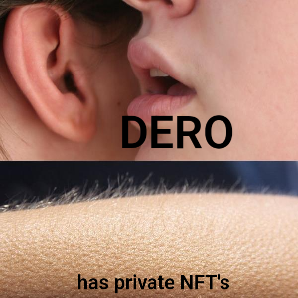 UndercoverCluck's tweet photo. @Eksnft1 #QUACK!
#nftondero
#deronft
#privacy 
#dero 
$DERO https://t.co/i6jj3W6u3N