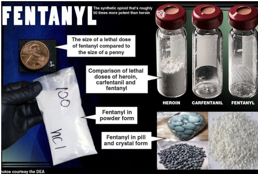 Brightly_Burn's tweet photo. @rruu73 @WyColoCowboy @KyleClark @Kirkmeyer4CO @nexton9news #Democrats didn’t ‘reverse’ it. They simply made 4 grams to 1.01 grams a felony. This was only after hundreds of #Coloradoans died in 2019, ‘20, and ‘21. #Colorado #1 in overdoses.
1 gram of #Fentanyl - which is enough to kill 500 people - is still a misdemeanor.
#COpolitics https://t.co/JhA3IJ8pJ0