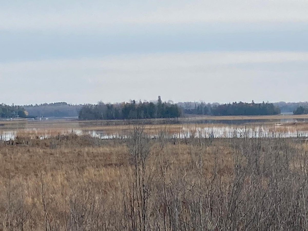 votebarbconley's tweet photo. It's the last week of the campaign! This week: canvassed Boyne City and Elk Rapids and will get out to Chippewa, Emmet, Charlevoix, Leelanau, Grand Traverse Counties and more! https://t.co/oY6OIhQvvi