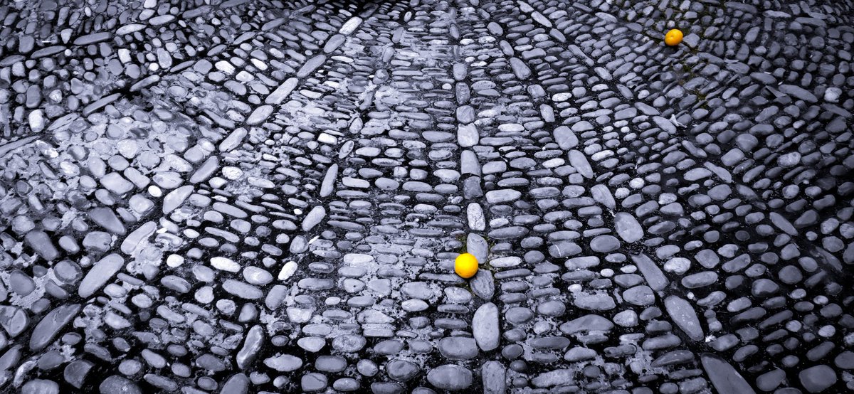 joluardi's tweet photo. Suelo del patio del Convento de las Hermanas de la Cruz (Calle Conde Torres Cabrera, Córdoba) #sueloempedrado #pavement #stonepavement #patio #naranjas #oranges #CordobaEsp #cordoue #Spain #streetphotography #streetphoto #blackandwhite #bnwmood #mobilephotography #mobileshot https://t.co/7hSabwH97c
