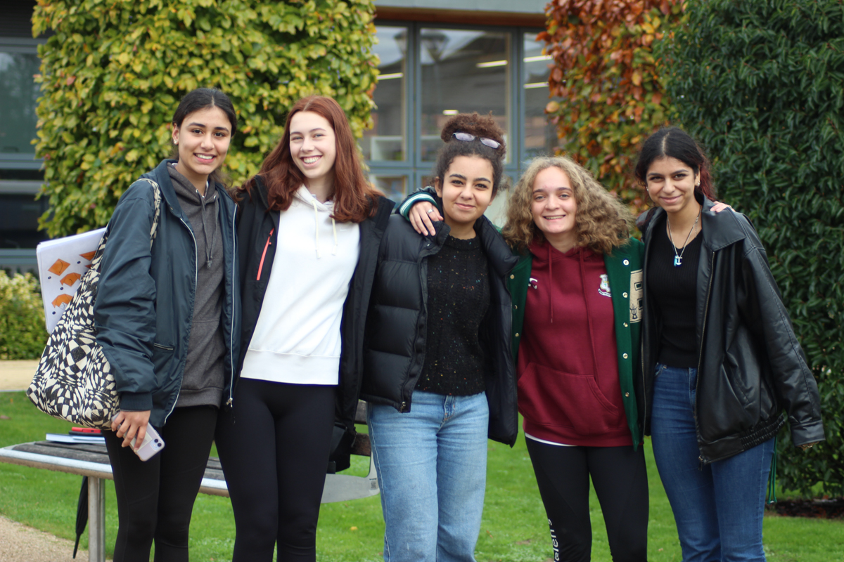 Alice Lucas tweet media