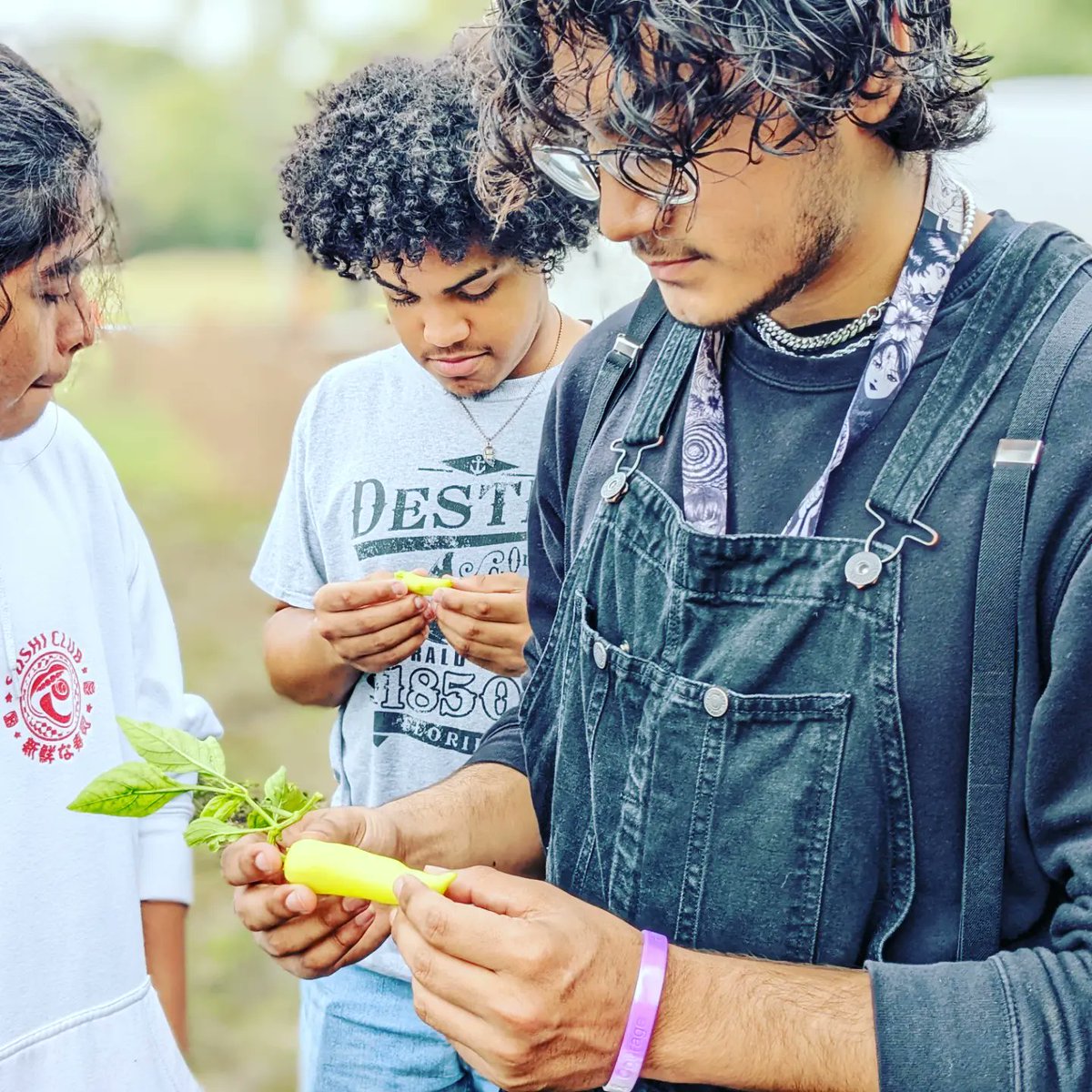 BellaireNemo's tweet photo. BHS Rooftop Garden Club @ HISD Food &amp; Agriculture Literacy Center At Mykawa Farm learning about Fall Harvest, planting broccoli, plastic planting, and nutrition! @BellaireNemo @HISDNutrition @HoustonISD @BellaireHigh #cardinalproud https://t.co/S7v71IRJz5