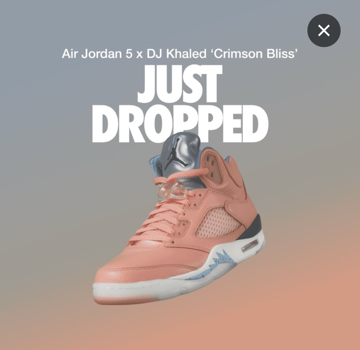 SNKRS did... who copped?