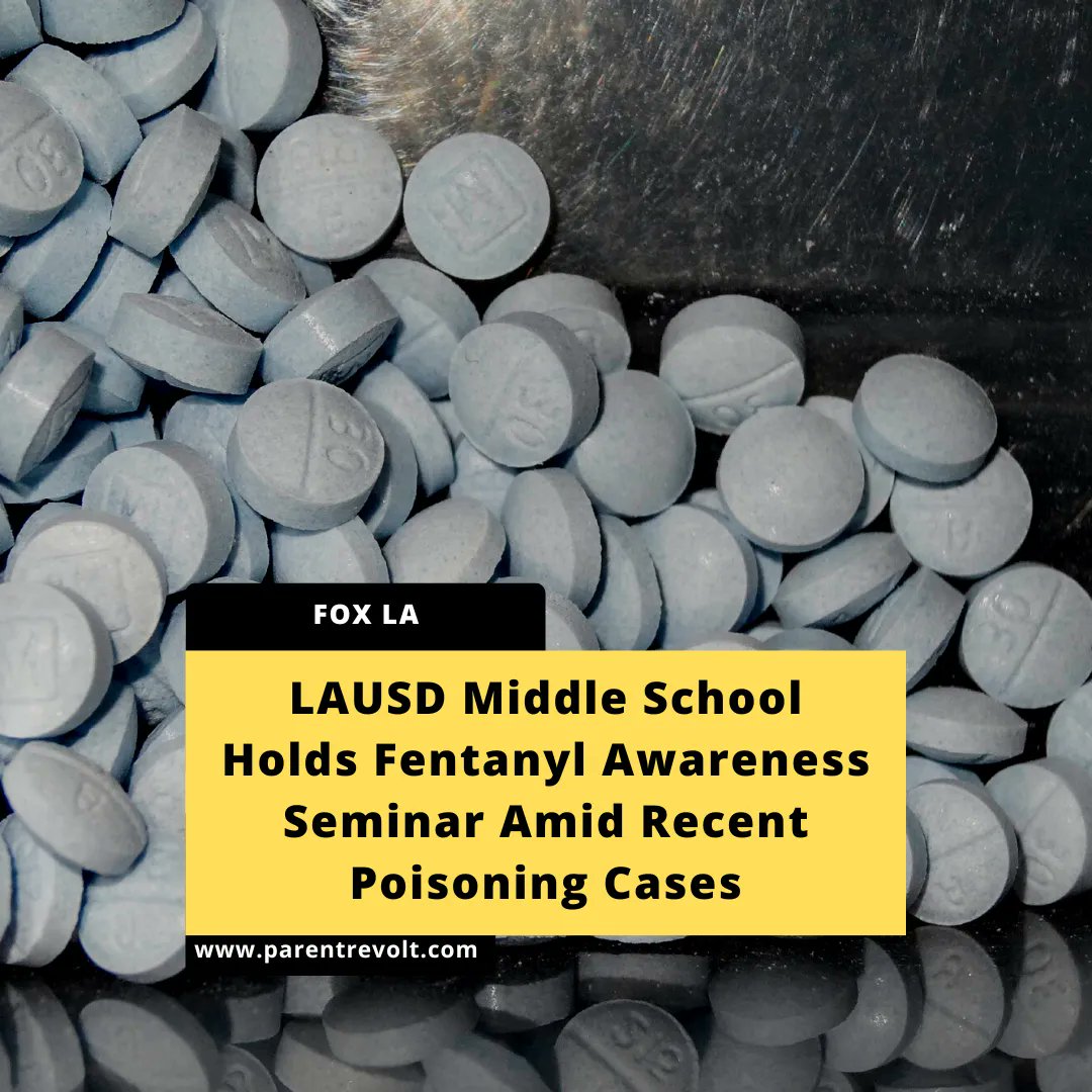 📢 𝗟𝗔𝗨𝗦𝗗 𝗠𝗶𝗱𝗱𝗹𝗲 𝗦𝗰𝗵𝗼𝗼𝗹 𝗛𝗼𝗹𝗱𝘀 𝗙𝗲𝗻𝘁𝗮𝗻𝘆𝗹 𝗔𝘄𝗮𝗿𝗲𝗻𝗲𝘀𝘀 𝗦𝗲𝗺𝗶𝗻𝗮𝗿 𝗔𝗺𝗶𝗱 𝗥𝗲𝗰𝗲𝗻𝘁 𝗣𝗼𝗶𝘀𝗼𝗻𝗶𝗻𝗴 𝗖𝗮𝘀𝗲𝘀

Read more on: buff.ly/3NuOsST 

#parentrevolt #education #parents #students #school #california