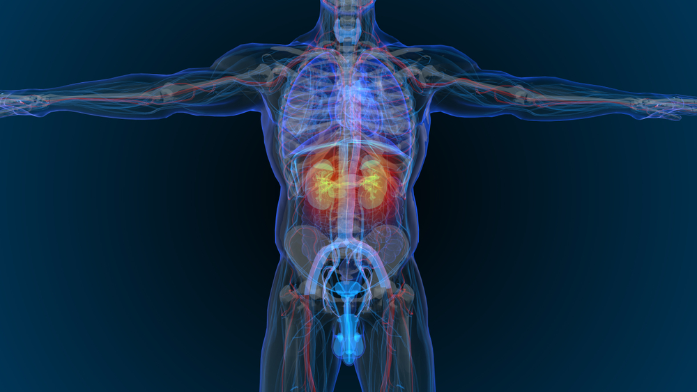 MassGeneralNews's tweet photo. .@hinojosa_md &amp; @BEkidneystone determined that the use of tranexamic acid during #percutaneous #nephrolithotomy is associated w/ improvements in operative time, change in hemoglobin, transfusion rate, and complication rates, when compared with placebo. https://t.co/ERPpsAeUdf https://t.co/5FkNsmwddF
