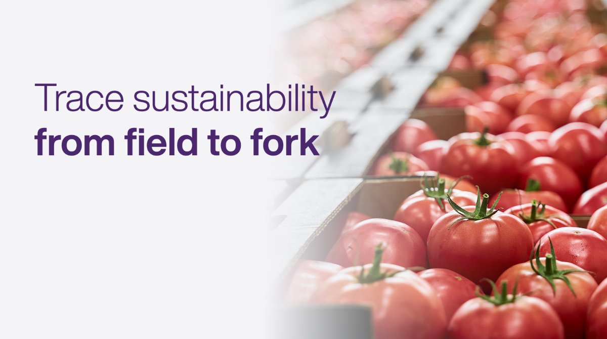 Trace sustainability practices from field to fork with solutions that capture, manage, and share the data you need.  Learn more about TELUS Agriculture &amp; Consumer Goods' food processor solutions today, and sign up for our free webinar on November 17. agrian.lpages.co/telus-agricult…