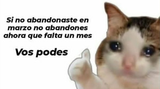 De un estudiante atrasado y estresado a otro:
