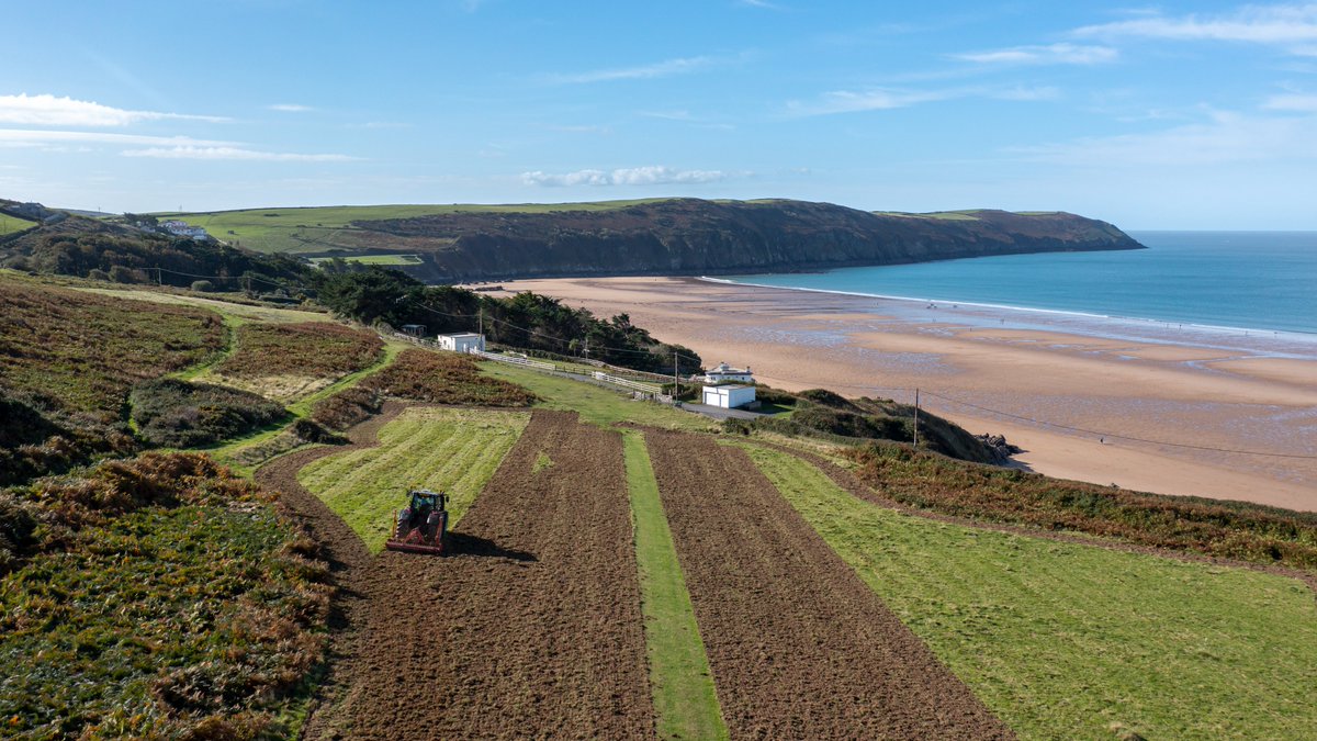 NTSouthWest's tweet photo. We’re excited to announce our largest ever wildflower grassland project in @NorthDevonNT, which will create new species rich grassland across 70 miles along the coast at Woolacombe to west Exmoor.

For details of the project: https://t.co/cPUOdagKjB

#NationalTrustSouthWest https://t.co/4glishFjTF