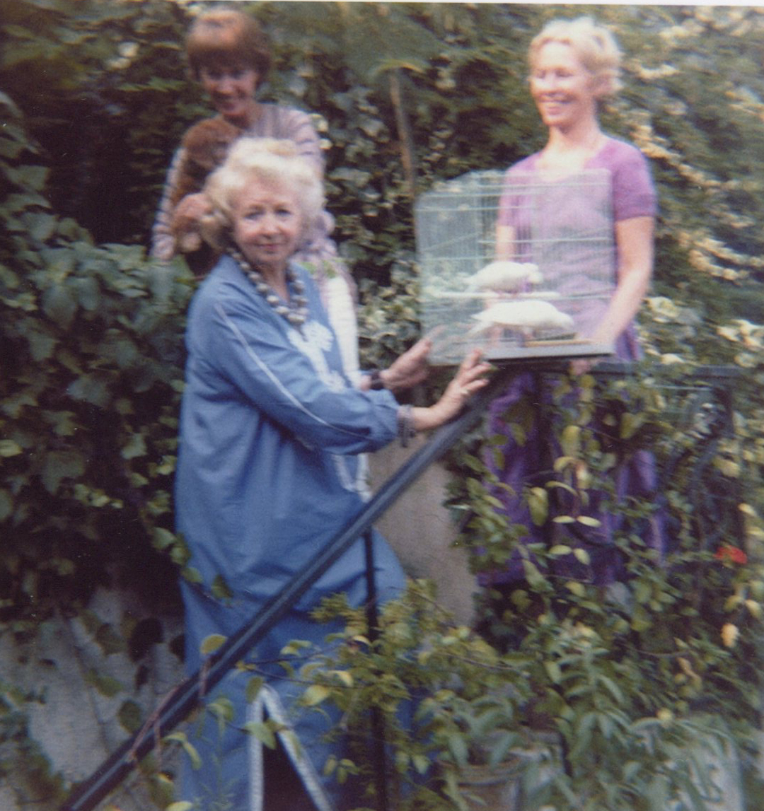 LesleyBlanch's tweet photo. LB with voguey-poguey friends in 1974, Sue Train &amp; Bettina McNulty doyenne of fashion PR, thoroughly modern women all of them! #Menton #Garavan #avantgarde #style #photography #voguemagazine #vintage #history #photographer #editorial https://t.co/tUQ6KopZrX