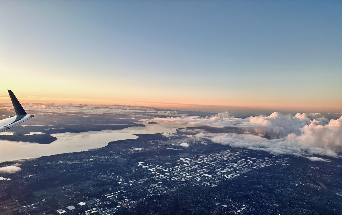 Wayne Hammon tweet media