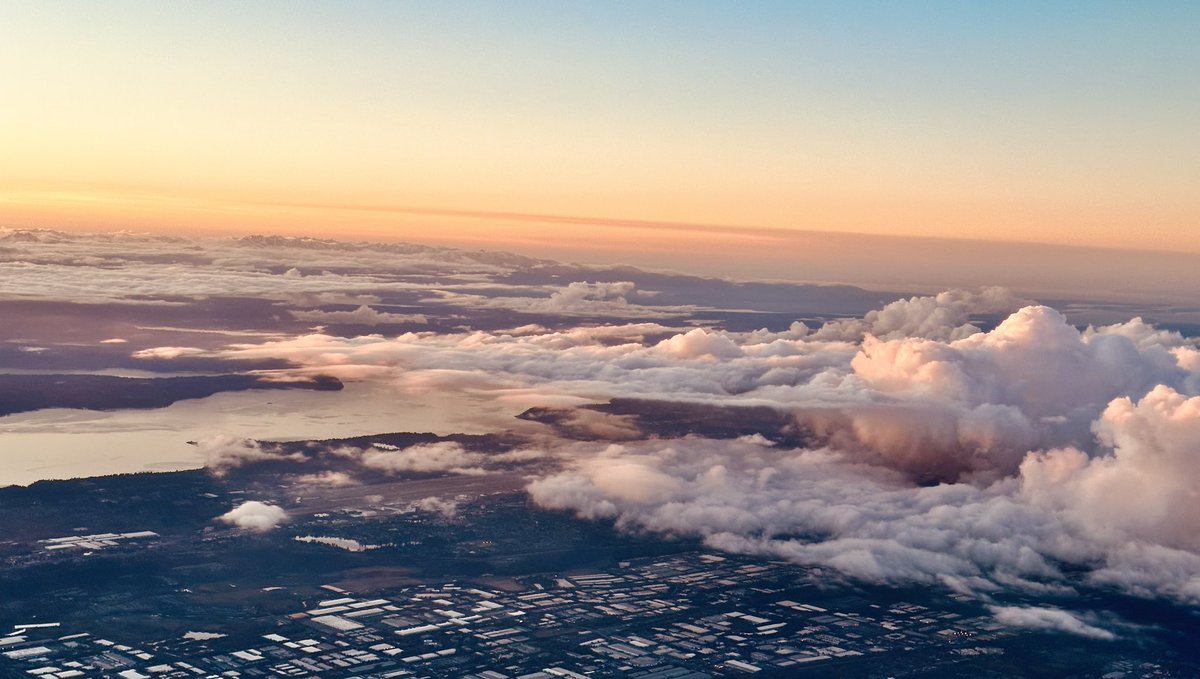 Wayne Hammon tweet media