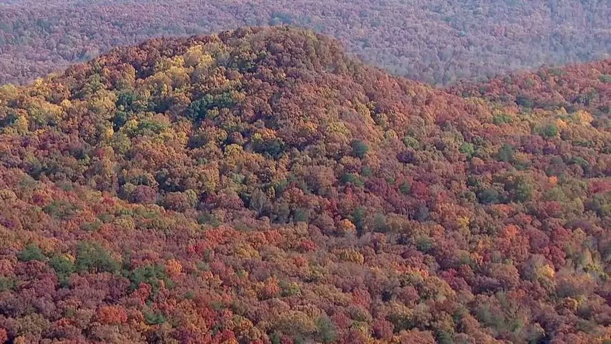We really do live in God's Country!

AERIALS: Get a bird's eye view of Kentucky's vibrant fall foliage buff.ly/3T2BVXK
