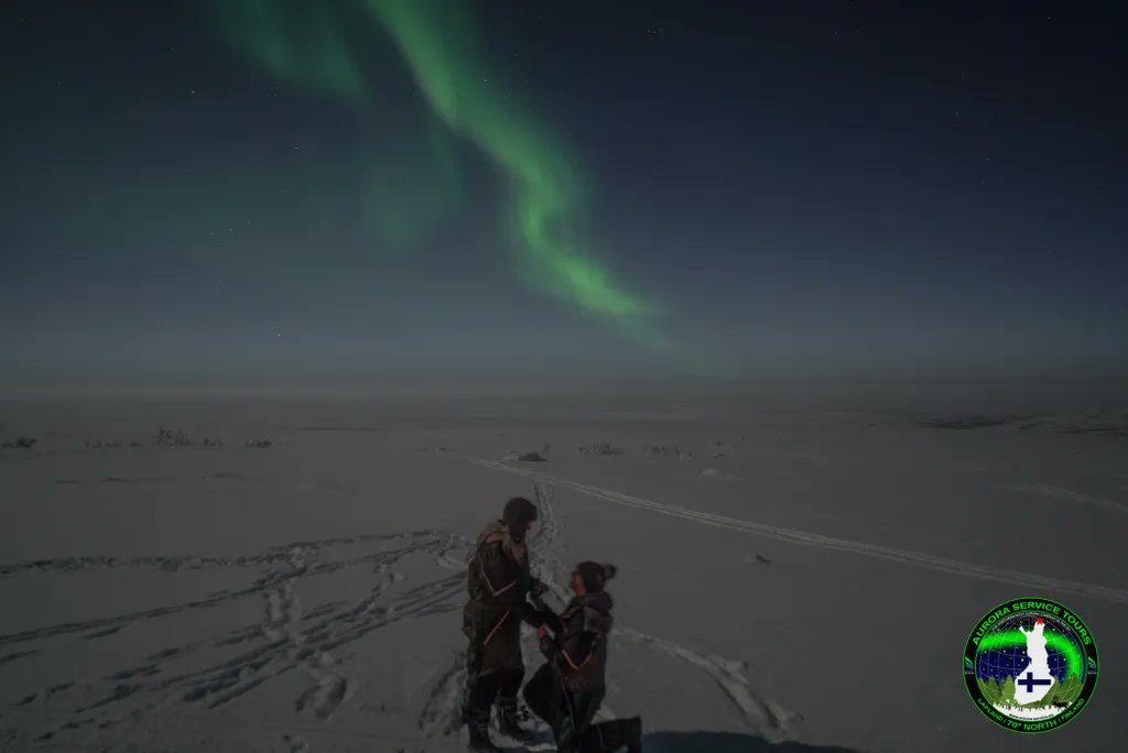 tours_aurora's tweet photo. Join us under the northern lights this winter! Northern Lights holidays starting from only €995! Visit https://t.co/VElXeZ6kJL 

#exploreutsjoki #lapland, #finland, #discoverfinland #discoveringfinland #ig_finland #ourlapland #visitfinland #visitlapland #northernlights, https://t.co/xun9i8BnNy