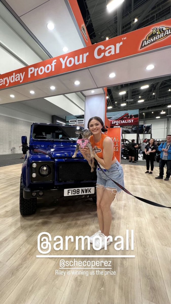 Armor All tweet media