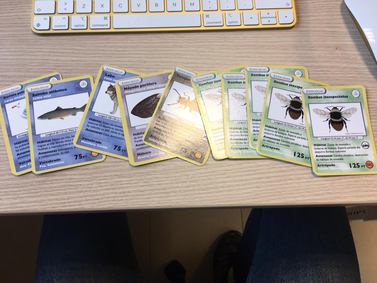 Abeja_Silvestre's tweet photo. En la universidad de Oviedo están creando Zookemon, y han incluido un abejorro precioso. Bombus inexspectatus. cc @GOrizaola https://t.co/vH8zfZ8TMc