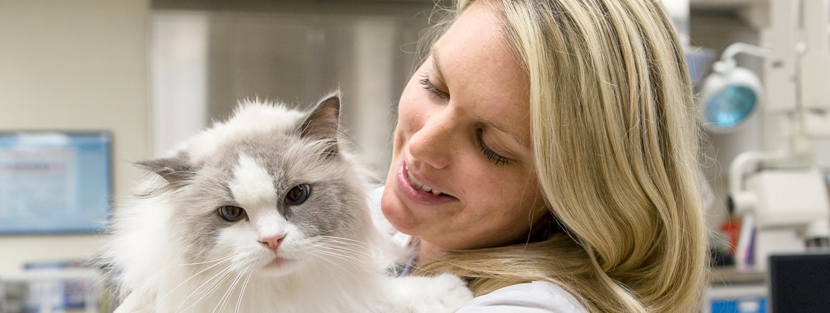 Tweet by AVMA (American Veterinary Medical Association)