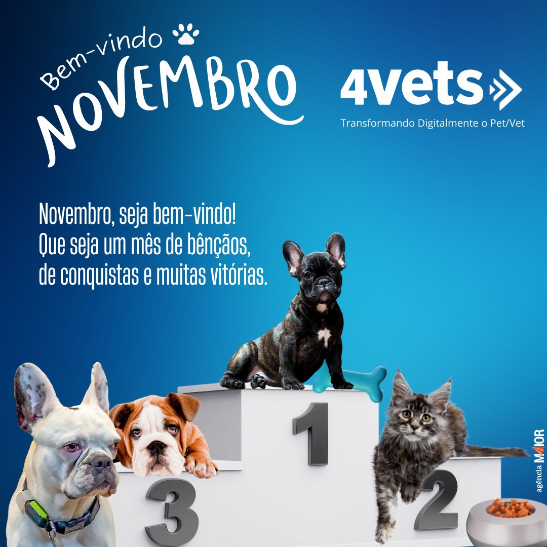 4vetsBR's tweet photo. Bem-vindo Novembro! Que seja um mês de bênçãos, conquistas e muitas vitórias. #Novembro #vet #pets #4vets https://t.co/iCVpDz89e0