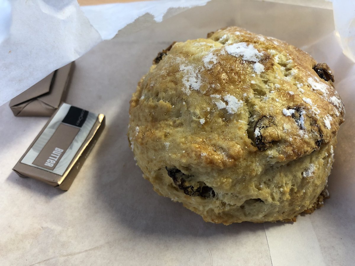 bough_laura's tweet photo. #sconewatch fruit scones are back at Damers too! Cheese and fruit on alternate days….yesssss! 🥰 @DCHFT #TeamDCH @DCHFT_Research https://t.co/ZvlGgzQYKB