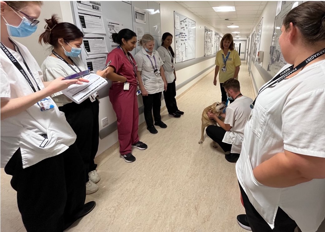 kckyip's tweet photo. A sincere thank you for Millie &amp; Linda (therapy dog 🐶 &amp; volunteer) recent visit to PHU Pharmacy department. Brought lots of joy and smiles 🌞 to the staff. Linda also helps to deliver medications to the ward, so patients can receive their medication 💊 quickly. #ProudToBePHU https://t.co/QdY3vXPLJS