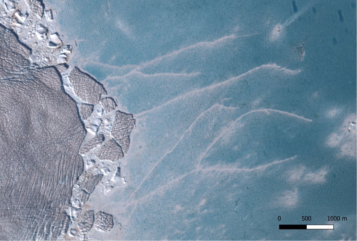 James Lea 🏳️🌈❄️🛰 (@jamesmlea) on Twitter photo Glacier tentacles?!
Fjord ice looks like it's being cracked apart by the glacier and iceberg calving, causing fractures that stretch up to 5 km!
Stunner of a <a href="/esa/">European Space Agency</a> Sentinel 2 image with amazing colours, bergs and a couple of small meltwater lakes thrown in for good measure! Glacier tentacles?!
Fjord ice looks like it's being cracked apart by the glacier and iceberg calving, causing fractures that stretch up to 5 km!
Stunner of a <a href="/esa/">European Space Agency</a> Sentinel 2 image with amazing colours, bergs and a couple of small meltwater lakes thrown in for good measure!