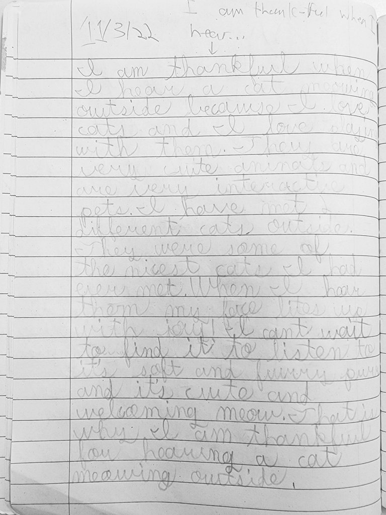 mrsvking8's tweet photo. 3rd grade thankfulness: I am thankful when I hear a cat meowing outside because I love cats... They are very cute animals and very interactive pets. #beDSE #edthankful #iamdsisd #TXthankful #king3dse https://t.co/NmuOVav2kr