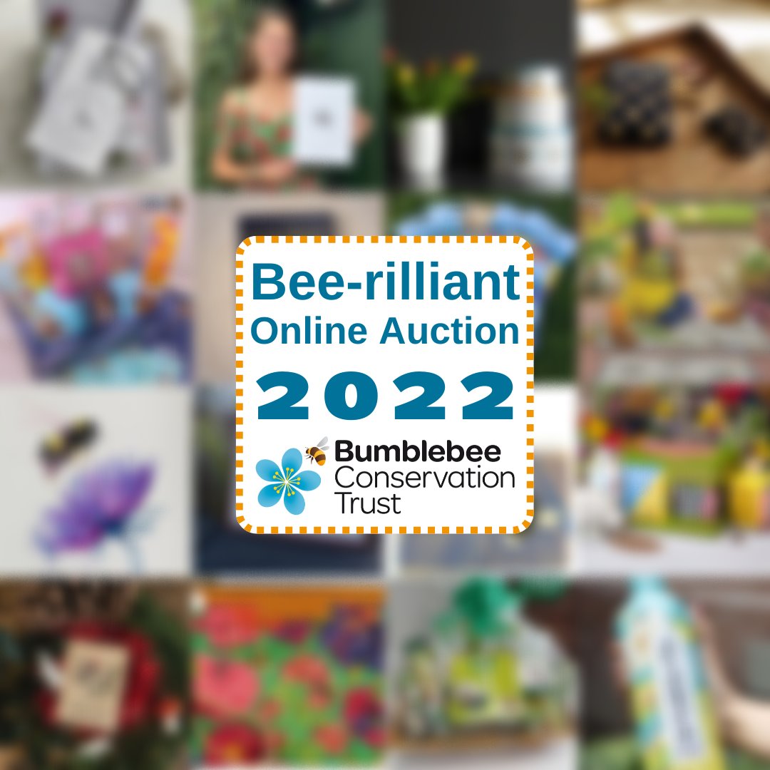 BumblebeeTrust's tweet photo. Get buzzing for our online auction! 🐝🎁
On Saturday 5th November at 9am, our online auction goes live with some bee-rilliant items for you to bid on – all donated by our wonderful business supporters and supporters of the Trust to help raise money to save the sound of summer. https://t.co/ySYgwIjJPG
