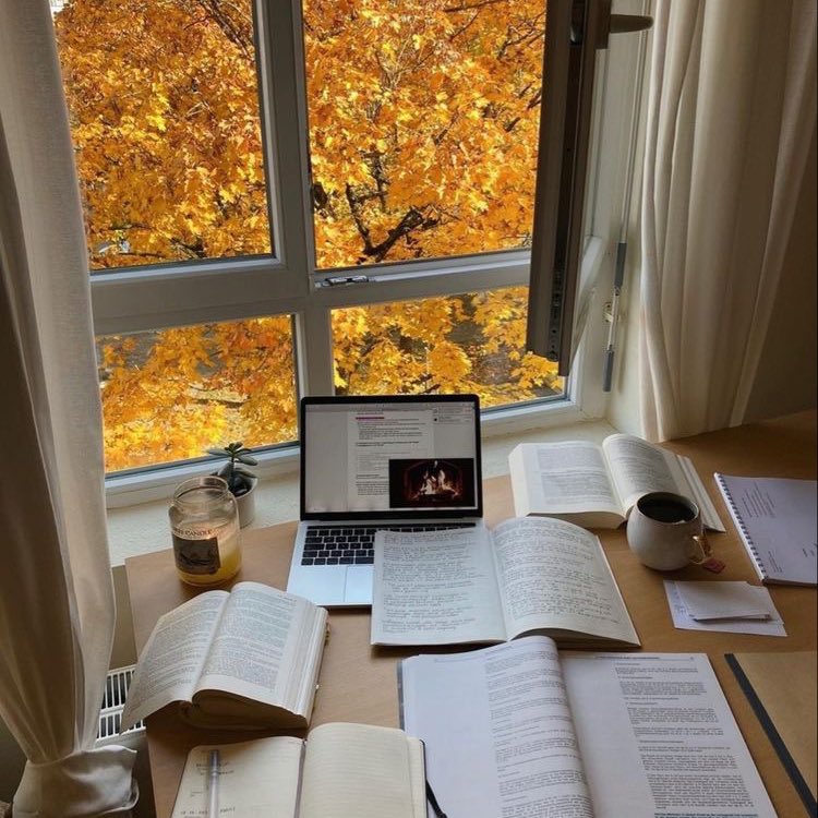 studysegalla's tweet image. — como fazer um currículo!

#studytwtbr #studytwt #collegetwt 

uma thread necessária!