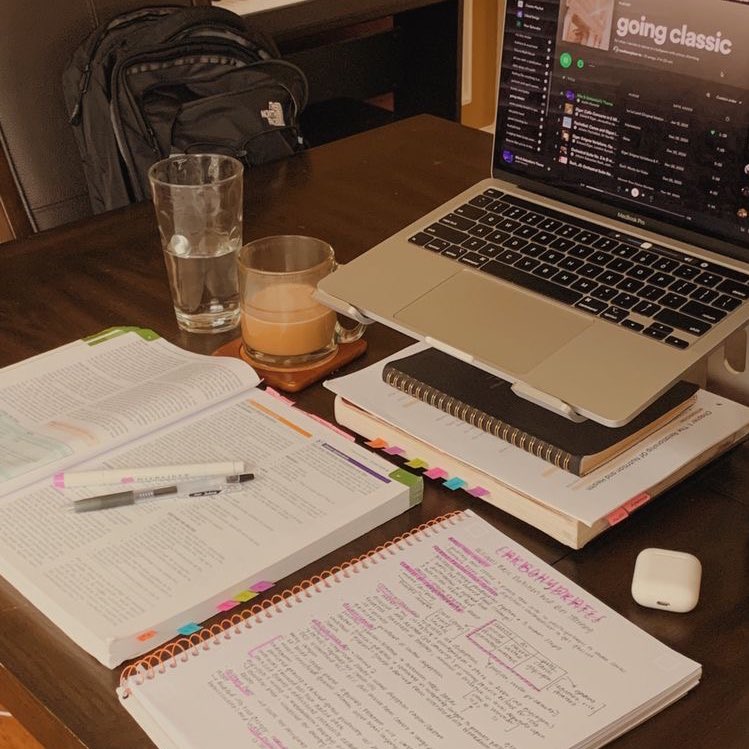 studysegalla's tweet image. — como fazer um currículo!

#studytwtbr #studytwt #collegetwt 

uma thread necessária!