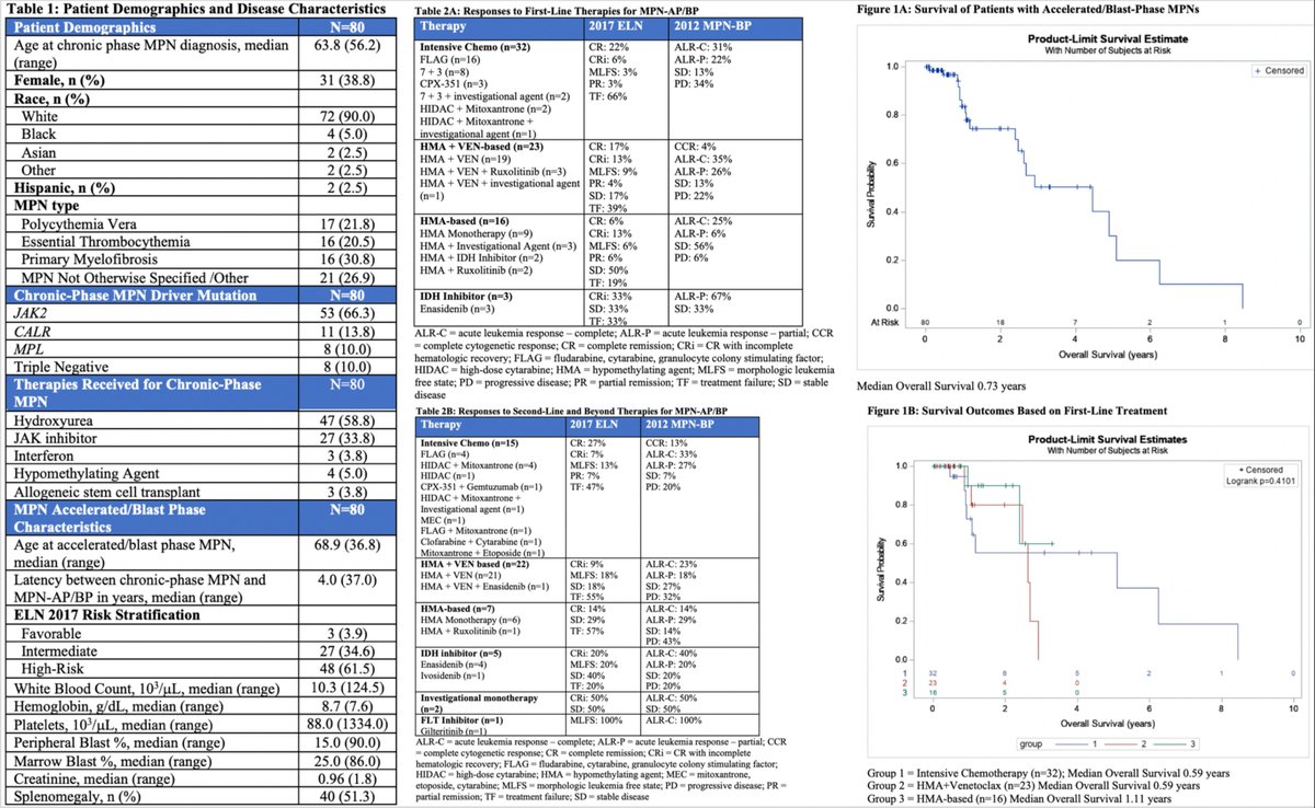 Very excited to share our abstract at <a href="/ASH_hematology/">ASH</a> on MPN-AP/BP outcomes in the current era of myeloid therapies! #mpnsm #leusm

<a href="/Evan_ChenMD/">Evan Chen</a> <a href="/Sunil_G_Iyer/">Sunil Iyer, MD</a> <a href="/TBradley_MD/">Terrence Bradley</a> <a href="/yasminabaza1/">Yasmin Abaza</a> <a href="/Dr_RoryShallis/">Rory M. Shallis, MD</a> <a href="/Vikas_Gupta_1/">Vikas Gupta</a> <a href="/kristenpettitmd/">Kristen Pettit</a> <a href="/myeloidmalig/">Toyosi Odenike</a> 

ash.confex.com/ash/2022/webpr…