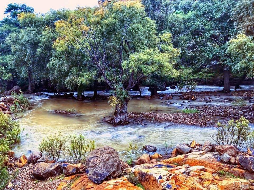 yo_durango's tweet photo. Tejamén, un pueblo escondido en Durango 😍

📸 Fotos: Mi Durango https://t.co/bkvcQFbvQK