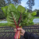 Photo by SurreyFarmersMarkets (@SWSFarmMarkets)