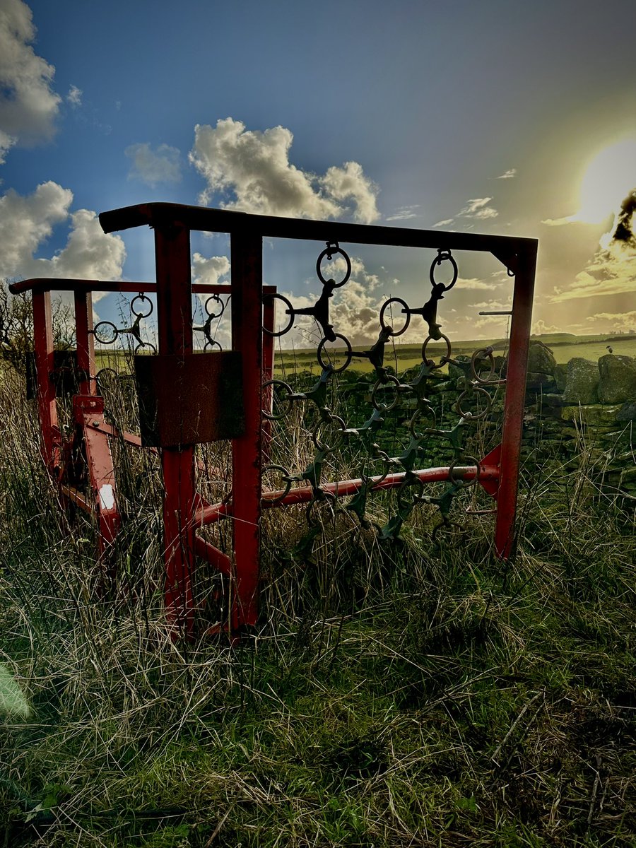 Birthday Bimble to Brontë Beauty 🥰