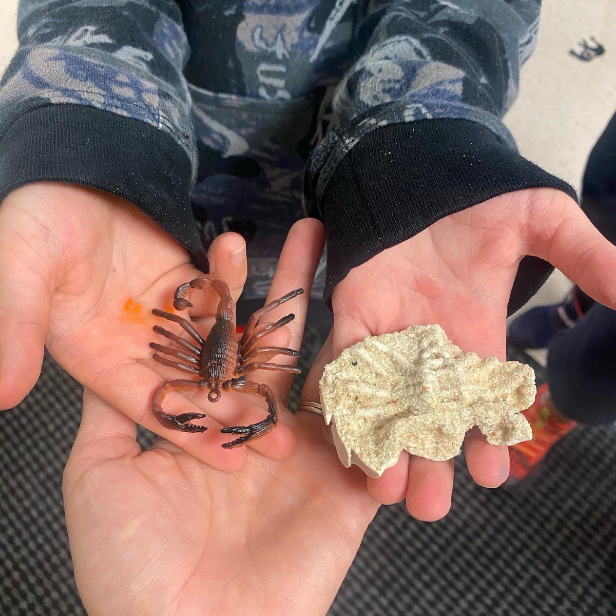 lindsayelkins1's tweet photo. @kempcougars 3rd graders learned about how fossils give us information about past organisms, created their own fossils, and are getting ready to hear from a real paleontologist Dr Woodruff soon! @DoubleBeam #messybutfun #ITeachSTEM @cobbscience https://t.co/3K1EYhcUVb