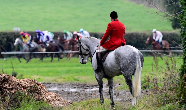Irish National Hunt Steeplechase CLG tweet media