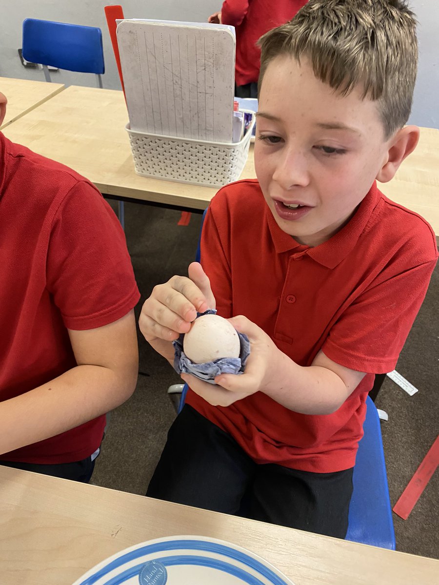 CarltonPuma's tweet photo. It was Eggciting Experiments tonight! The wonderous nature of rubber eggs created by simply soaking in vinegar. @CarltonTigers1 @CarltonPS_SET #excitingexperiments #STEM https://t.co/MIcg42SFaK