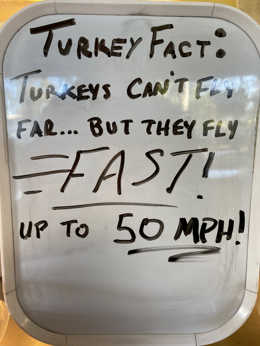 timleftwich's tweet photo. Good morning! How about a #turkeyfact?? https://t.co/OP5WHgwSN4