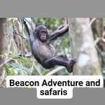 Photo by BEACON ADVENTURE AND SAFARIS (@AndGombe)