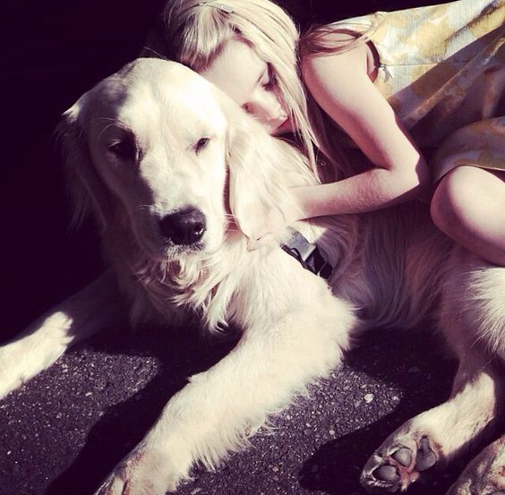 BlitheSass's tweet photo. Best buds. https://t.co/fEyeje6ukD