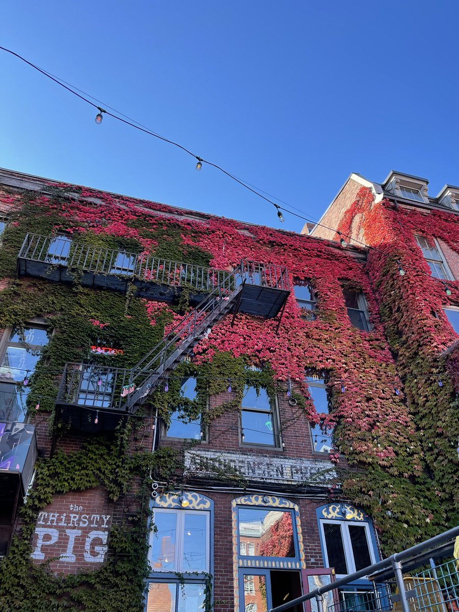 🍂 🍁 🍃 #MAINE